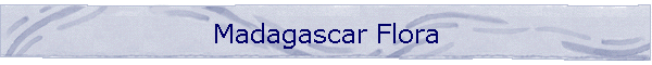 Madagascar Flora
