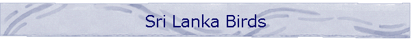Sri Lanka Birds