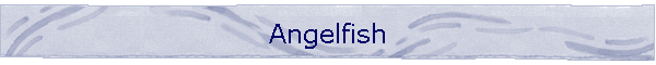 Angelfish