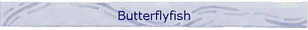 Butterflyfish