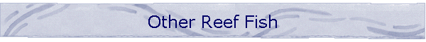 Other Reef Fish