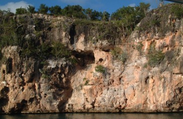 Nesting holes in the limestone cliffs near Crocus Bay, Anguilla