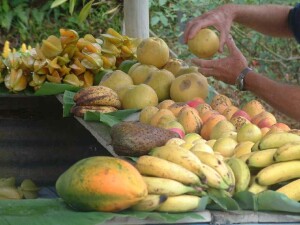 Star fruit, grapefruit, mangos, soursop, bananas, papaya