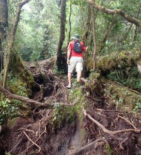 Jon climbs the rough trail up Mt. Brinchang