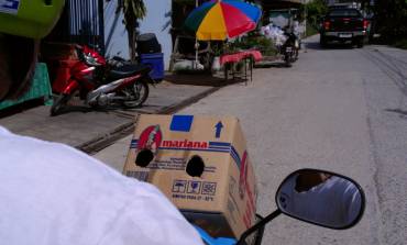 Transporting Turtle (in the box, in the scooter basket) to the vet