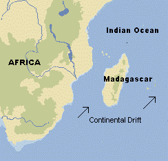 Madagascar and southern Africa