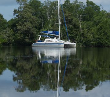 Ocelot anchored far up the Klias River, Borneo