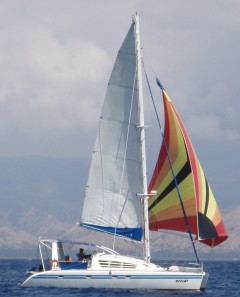 Ocelot with her mini-spinnaker sailing through Indonesia