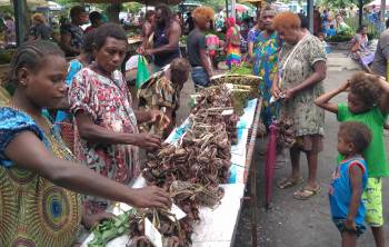 Mud crabs by the bundle. Rabaul market, PNG