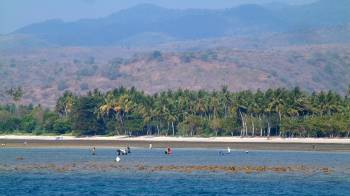 Local villagers harvesting the reef at Kilo