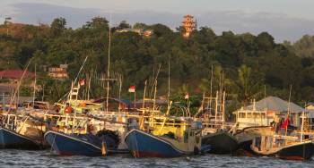 The bustling Sorong fishing fleet at the dock