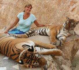 Sue posing with 2 tigers at the Tiger Temple, Kanchanaburi.