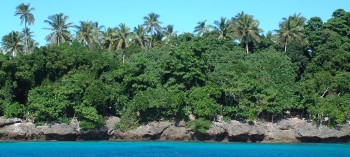 The Vava'u Group has karst coastlines, topped by palms and casaurina pines