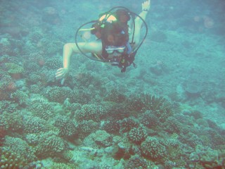 Vince swimming over a garden of coral.